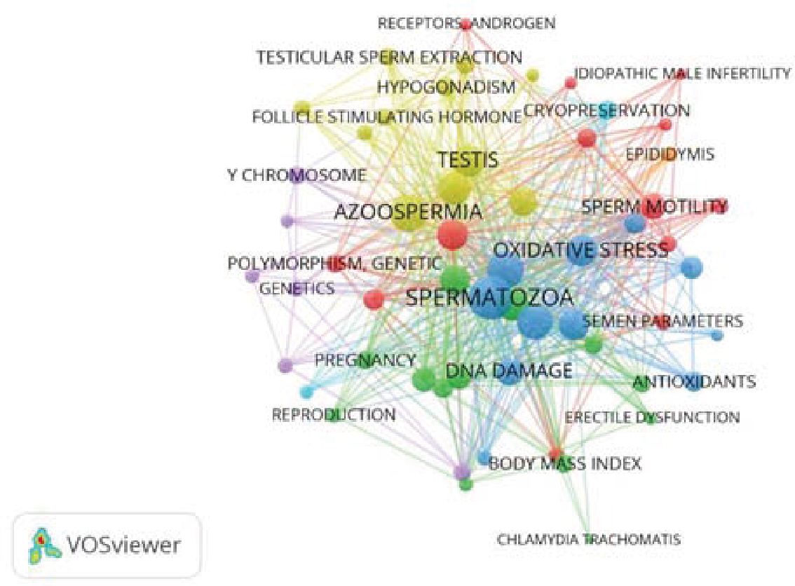 Intellectual Structure of knowledge Figura extraída do Artigo “Intellectual structure of knowledge inAndrology field (2008 to 2017): A Co-word analysis” Fatemeh Makkizadeh Ph.D., Esmaeil Bigdeloo M.A.- International Journal of Reproductive BioMedicine Volume 17, Issue no. 5, https://doi.org/10.18502/ijrm.v17i5.4602